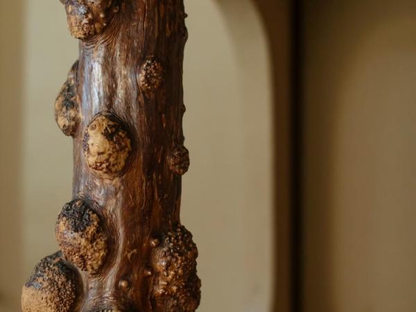 Toshiharu Ryokan : photo 4 de la chambre chambre familiale take 