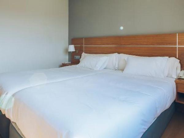 Sancho Ramirez : photo 2 de la chambre room #9168345