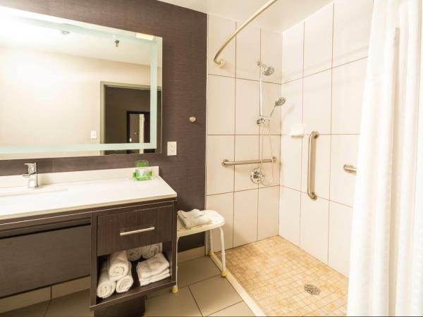 Holiday Inn Louisville East - Hurstbourne, an IHG Hotel : photo 1 de la chambre chambre lit king-size standard