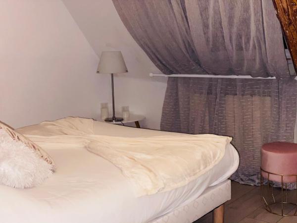 Théâtre Hôtel Chambéry : photo 4 de la chambre appartement avec vue sur la montagne