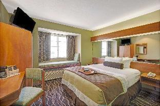 Super 8 by Wyndham San Antonio Downtown NE : photo 1 de la chambre room #24443819