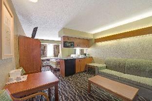 Super 8 by Wyndham San Antonio Downtown NE : photo 2 de la chambre room #24443825