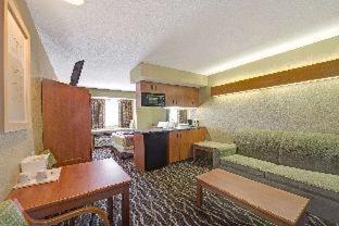 Super 8 by Wyndham San Antonio Downtown NE : photo 3 de la chambre room #24443825