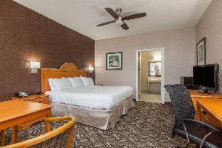 Grand Villa Inn Galleria : photo 1 de la chambre room #29837414