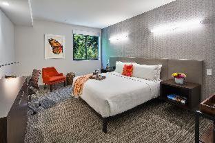 Hotel Mariposa : photo 4 de la chambre room #499279804
