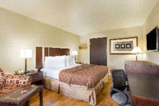 Days Inn by Wyndham Las Vegas Airport Near the Strip : photo 1 de la chambre room #5674324