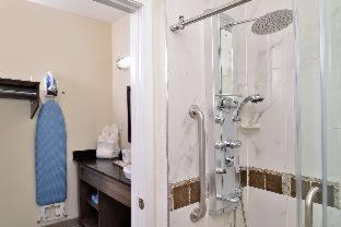 Americas Best Value Inn & Suites - Houston/Hwy 6 & Westpark : photo 6 de la chambre room #167373414
