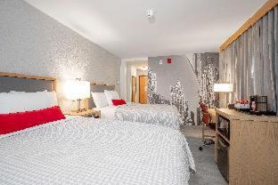 Hotel Saint Clair - Magnificent Mile : photo 7 de la chambre room #5988749