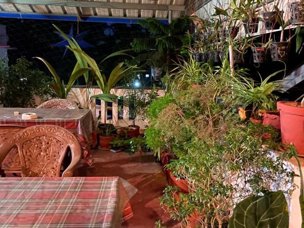 Gloria Homestay : photo 8 de la chambre chambre double Économique