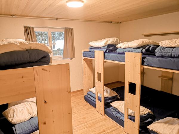 Naturfreunde Hostel Grindelwald : photo 4 de la chambre lit simple dans dortoir mixte avec salle de bains commune 