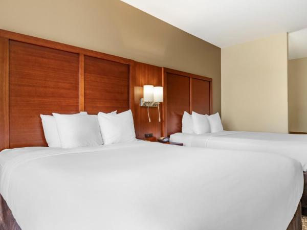 Comfort Suites Medical Center near Six Flags : photo 2 de la chambre suite 2 lits queen-size - non-fumeurs