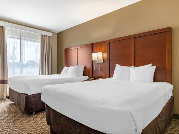 Comfort Suites Medical Center near Six Flags : photo 1 de la chambre suite 2 lits queen-size - non-fumeurs