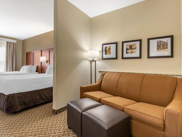 Comfort Suites Medical Center near Six Flags : photo 4 de la chambre suite 2 lits queen-size - non-fumeurs