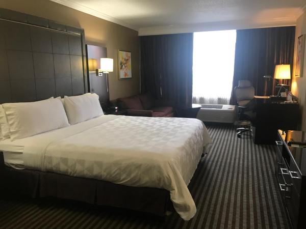 Holiday Inn Orlando East-UCF Area, an IHG Hotel : photo 3 de la chambre chambre lit king-size