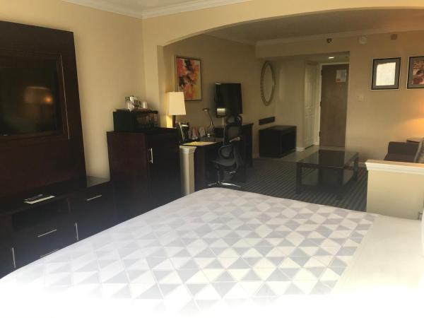 Holiday Inn Orlando East-UCF Area, an IHG Hotel : photo 2 de la chambre chambre lit king-size