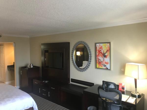 Holiday Inn Orlando East-UCF Area, an IHG Hotel : photo 3 de la chambre chambre lit king-size - adaptée aux personnes à mobilité réduite et malentendantes