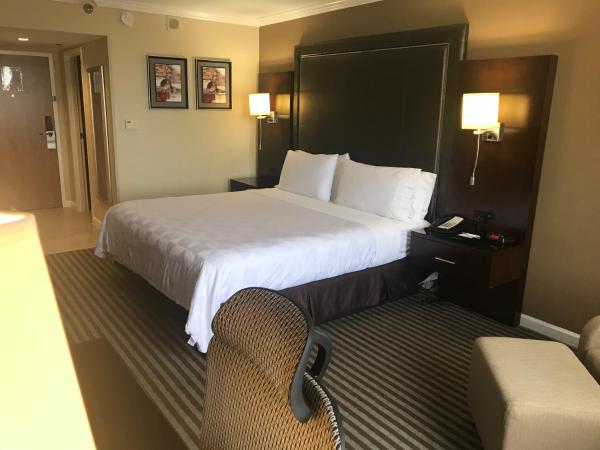 Holiday Inn Orlando East-UCF Area, an IHG Hotel : photo 2 de la chambre chambre lit king-size adaptée aux personnes malentendantes - non-fumeurs