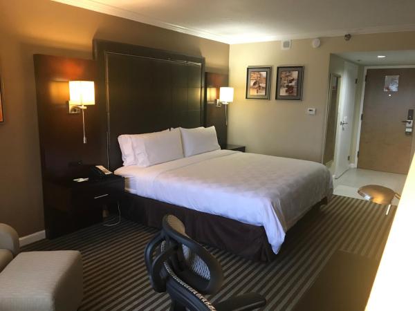 Holiday Inn Orlando East-UCF Area, an IHG Hotel : photo 1 de la chambre chambre lit king-size adaptée aux personnes malentendantes - non-fumeurs
