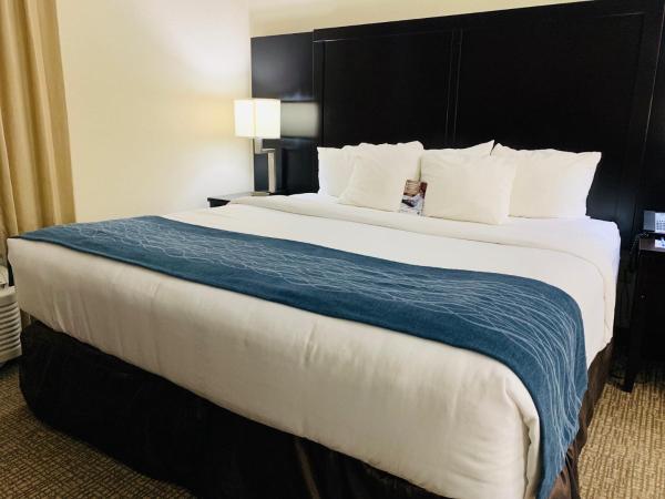 Comfort Inn & Suites Atlanta-Smyrna : photo 4 de la chambre suite lit king-size – non-fumeurs