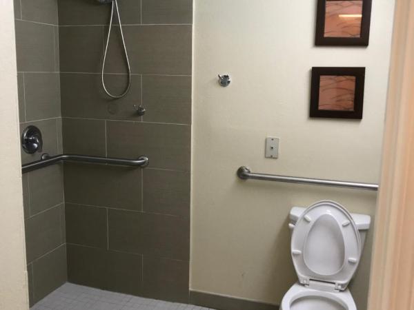 Comfort Inn & Suites Atlanta-Smyrna : photo 4 de la chambre chambre lit king-size - accessible aux personnes à mobilité réduite/non-fumeurs