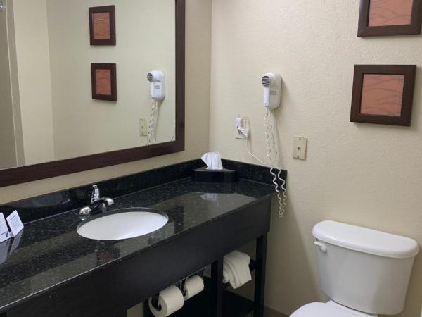 Comfort Inn & Suites Atlanta-Smyrna : photo 2 de la chambre chambre 2 lits queen-size - non-fumeurs