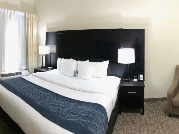 Comfort Inn & Suites Atlanta-Smyrna : photo 6 de la chambre chambre lit king-size - accessible aux personnes à mobilité réduite/non-fumeurs