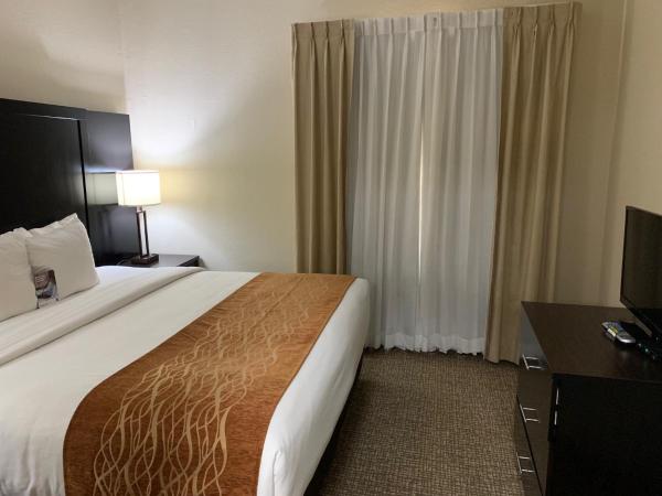 Comfort Inn & Suites Atlanta-Smyrna : photo 4 de la chambre suite affaires lit king-size avec canapé-lit - non-fumeurs