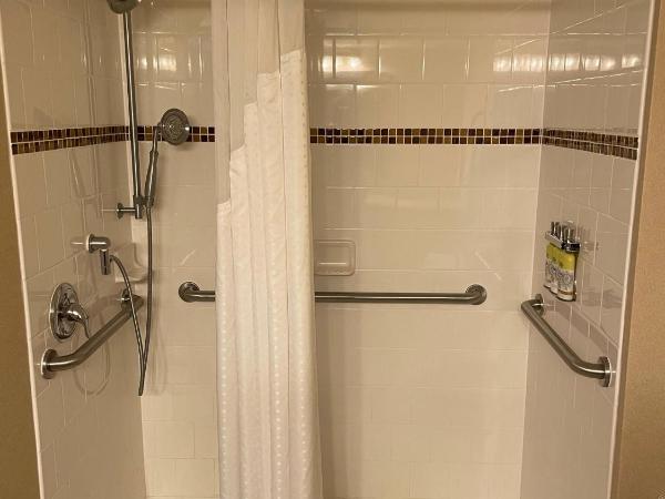 Holiday Inn Express Philadelphia Penn's Landing, an IHG Hotel : photo 5 de la chambre queen studio - disability access/roll-in shower/non-smoking