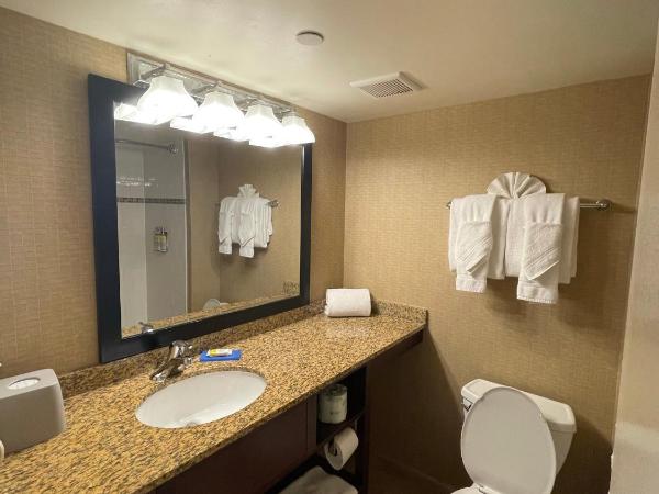 Holiday Inn Express Philadelphia Penn's Landing, an IHG Hotel : photo 2 de la chambre chambre avec 2 lits queen-size - vue sur rivière - non-fumeurs