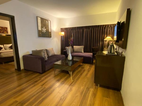 Gis Select Banjara Hill : photo 6 de la chambre suite