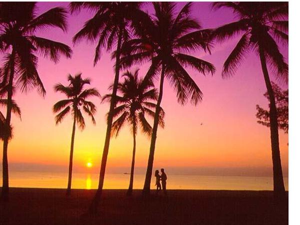 Ft Lauderdale Beach resort : photo 2 de la chambre appartement avec balcon