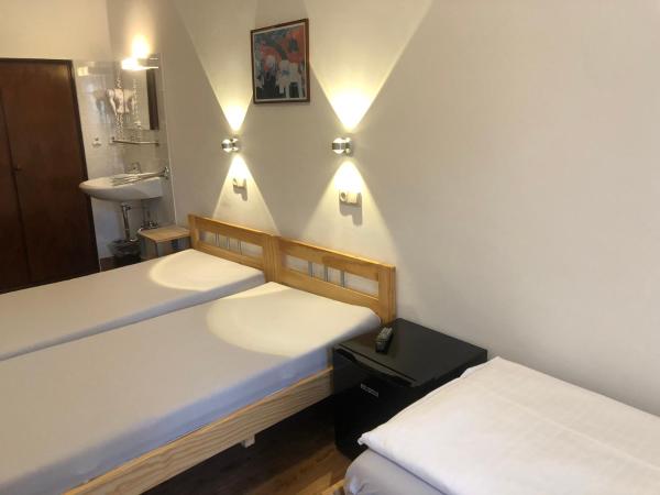 Hotel Pension Schmellergarten : photo 9 de la chambre chambre quadruple avec toilettes communes