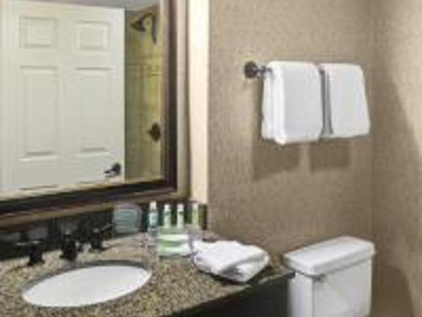 Holiday Inn Express Hotel & Suites Atlanta Buckhead, an IHG Hotel : photo 2 de la chambre suite lit king-size de luxe avec canapé-lit 