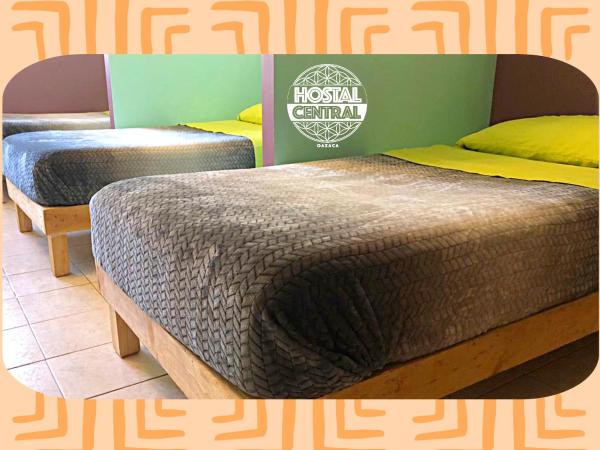 Hostal Central Oaxaca : photo 2 de la chambre lit simple dans dortoir de 4 lits