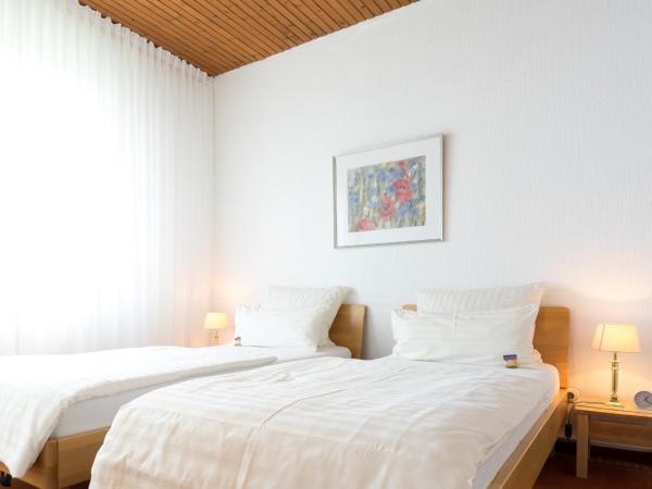 Hotel zum Kuhhirten : photo 4 de la chambre chambre double standard