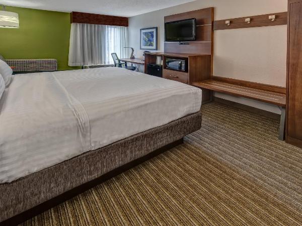Holiday Inn Express Memphis Medical Center - Midtown, an IHG Hotel : photo 4 de la chambre chambre lit king-size - non-fumeurs
