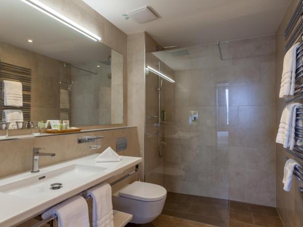 Hotel Waldhaus am See : photo 2 de la chambre chambre double – vue sur lac