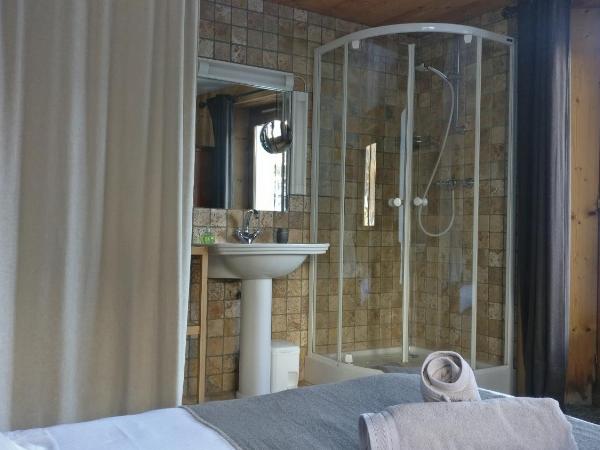 Htel Bellier : photo 2 de la chambre chambre double avec douche