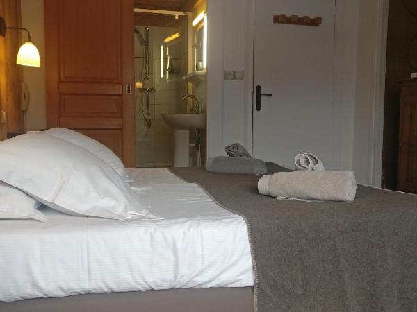 Htel Bellier : photo 3 de la chambre chambre lits jumeaux conomique avec douche