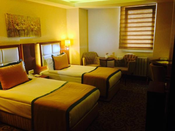 Asrin Business Hotel Kızılay : photo 4 de la chambre chambre lits jumeaux