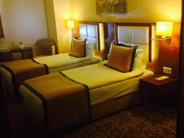 Asrin Business Hotel Kızılay : photo 2 de la chambre chambre lits jumeaux