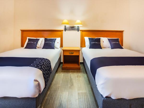 Hotel Boutique de Firma : photo 3 de la chambre chambre standard 2 lits 