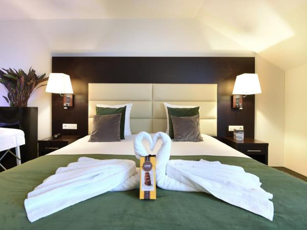 Hotel Charleroi Airport - Van Der Valk : photo 6 de la chambre suite avec sauna