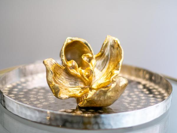 4 Star Suite SPA - Self Check-In : photo 6 de la chambre suite lit queen-size avec baignoire spa