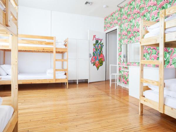 The Steady : photo 1 de la chambre lit simple dans dortoir pour femmes