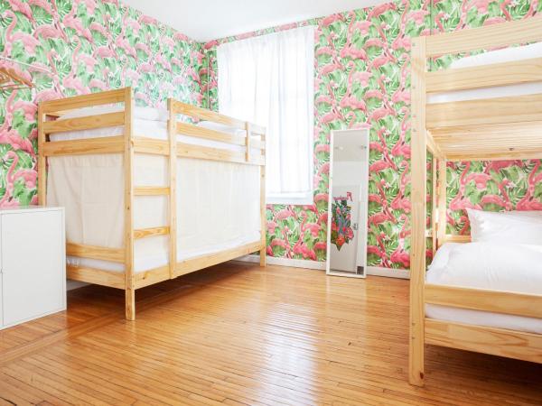 The Steady : photo 3 de la chambre lit simple dans dortoir pour femmes