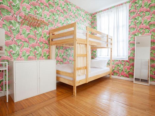 The Steady : photo 5 de la chambre lit simple dans dortoir pour femmes