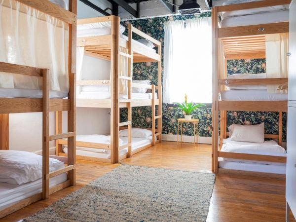 The Steady : photo 9 de la chambre lit simple dans dortoir mixte