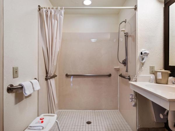 Suburban Studios : photo 1 de la chambre chambre double - accessible aux personnes à mobilité réduite 