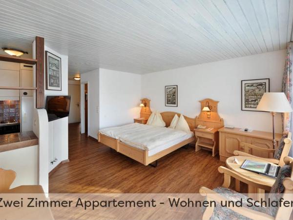 Aparthotel Eiger *** - Grindelwald : photo 1 de la chambre appartement 2 pièces